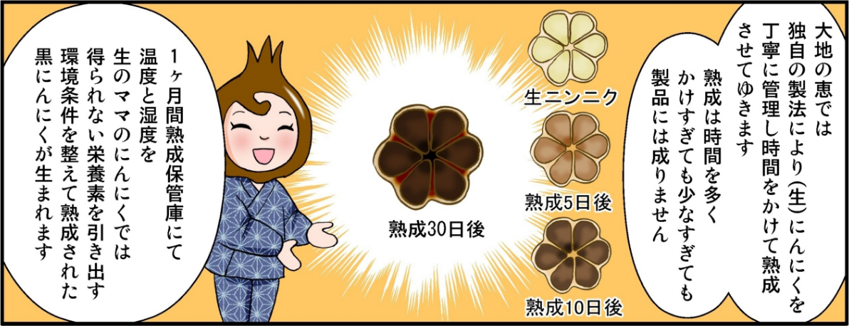 大地の恵み
