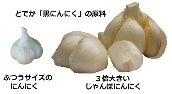 どでか黒にんにく